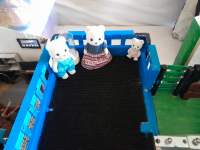Deck of polar bear house.